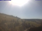 Archiv Foto Webcam Todtnau: Pension Glöcklehof 11:00