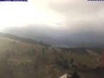 Archiv Foto Webcam Todtnau: Pension Glöcklehof 09:00