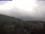 Archiv Foto Webcam Todtnau: Pension Glöcklehof 11:00
