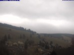 Archiv Foto Webcam Todtnau: Pension Glöcklehof 13:00