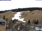 Archiv Foto Webcam Todtnau: Pension Glöcklehof 11:00