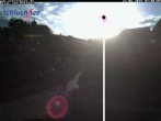 Archived image Webcam Schluchsee: Town hall 06:00