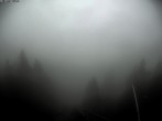 Archiv Foto Webcam Blick auf Schönwald 05:00