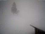 Archived image Webcam Baiersbronn: ski lift Ruhestein 09:00