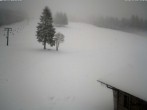 Archived image Webcam Baiersbronn: ski lift Ruhestein 13:00