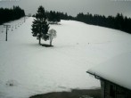 Archived image Webcam Baiersbronn: ski lift Ruhestein 09:00