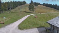 Archiv Foto Webcam Baiersbronn: Skilift Ruhestein 13:00