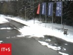 Archived image Webcam Baiersbronn: night cross-country ski trail 09:00