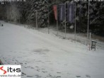 Archived image Webcam Baiersbronn: night cross-country ski trail 13:00