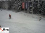 Archiv Foto Webcam Baiersbronn: Nachtloipe 13:00