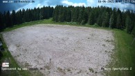 Archived image Webcam Baiersbronn: night cross-country ski trail 13:00