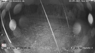 Archiv Foto Webcam Baiersbronn: Nachtloipe 03:00