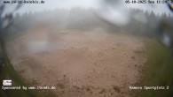 Archiv Foto Webcam Baiersbronn: Nachtloipe 11:00