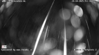 Archiv Foto Webcam Baiersbronn: Nachtloipe 01:00