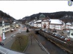 Archiv Foto Webcam St Blasien Menzenschwand: Hauptstraße 11:00