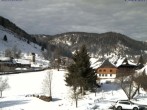 Archiv Foto Webcam Menzenschwand: Hinterdorf 11:00