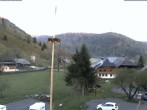 Archived image Webcam Menzenschwand (Hinterdorf) 05:00