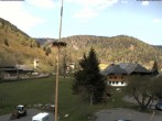 Archived image Webcam Menzenschwand (Hinterdorf) 11:00