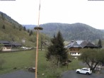 Archiv Foto Webcam Menzenschwand: Hinterdorf 06:00