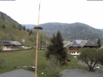 Archiv Foto Webcam Menzenschwand: Hinterdorf 13:00