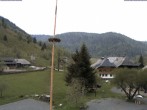 Archiv Foto Webcam Menzenschwand: Hinterdorf 17:00
