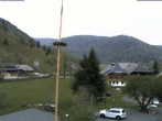 Archiv Foto Webcam Menzenschwand: Hinterdorf 19:00