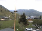 Archiv Foto Webcam Menzenschwand: Hinterdorf 05:00