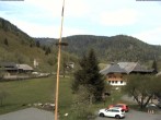 Archiv Foto Webcam Menzenschwand: Hinterdorf 11:00