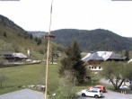 Archiv Foto Webcam Menzenschwand: Hinterdorf 13:00
