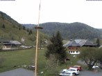 Archiv Foto Webcam Menzenschwand: Hinterdorf 15:00
