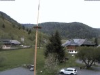Archived image Webcam Menzenschwand (Hinterdorf) 11:00