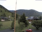 Archiv Foto Webcam Menzenschwand: Hinterdorf 11:00