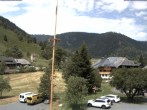 Archiv Foto Webcam Menzenschwand: Hinterdorf 11:00