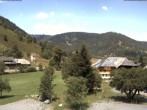 Archiv Foto Webcam Menzenschwand: Hinterdorf 11:00