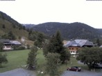 Archived image Webcam Menzenschwand (Hinterdorf) 11:00