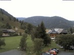 Archiv Foto Webcam Menzenschwand: Hinterdorf 11:00
