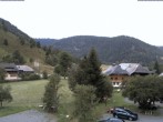 Archiv Foto Webcam Menzenschwand: Hinterdorf 15:00