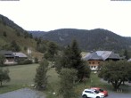Archiv Foto Webcam Menzenschwand: Hinterdorf 11:00