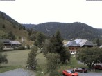 Archiv Foto Webcam Menzenschwand: Hinterdorf 13:00