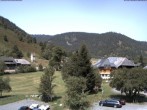 Archived image Webcam Menzenschwand (Hinterdorf) 11:00