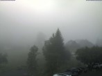 Archiv Foto Webcam Menzenschwand: Hinterdorf 06:00