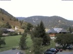 Archiv Foto Webcam Menzenschwand: Hinterdorf 11:00