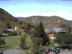 Archived image Webcam Menzenschwand (Hinterdorf) 11:00