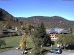 Archiv Foto Webcam Menzenschwand: Hinterdorf 11:00