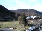 Archiv Foto Webcam Menzenschwand: Hinterdorf 13:00