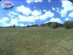 Archiv Foto Webcam Skilift Schwinbach 11:00