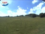Archiv Foto Webcam Skilift Schwinbach 13:00