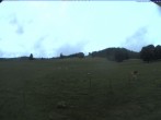 Archiv Foto Webcam Skilift Schwinbach 11:00