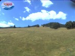 Archiv Foto Webcam Skilift Schwinbach 11:00