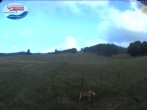Archived image Webcam Ski lift Schwinbach 05:00